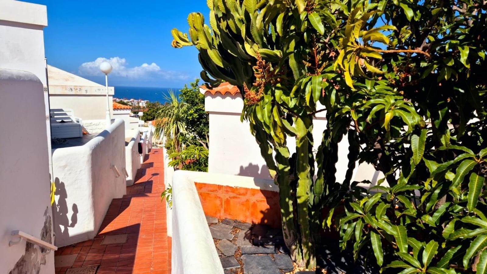 Costa Adeje Bungalow -Tenerife Exteriér fotografie